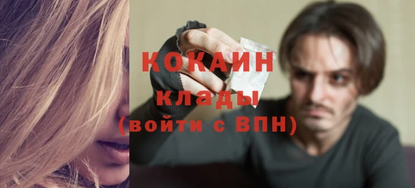 дживик Богданович