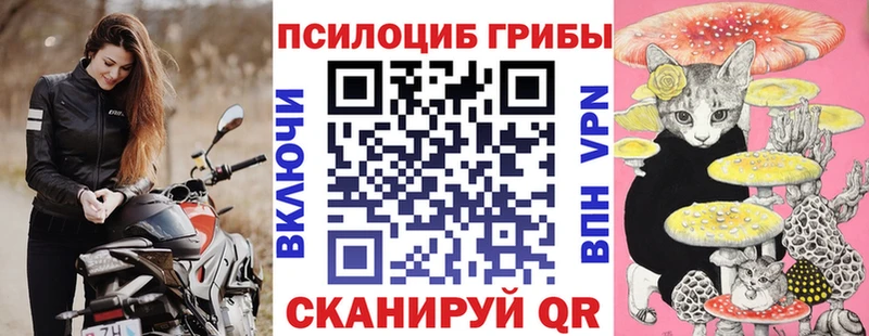 Галлюциногенные грибы Psilocybe  Кологрив 
